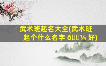武术班起名大全(武术班起个什么名字 🌼 好)